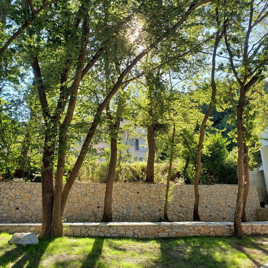 Green Hill Apartments Ulcinj Eksteriør bilde