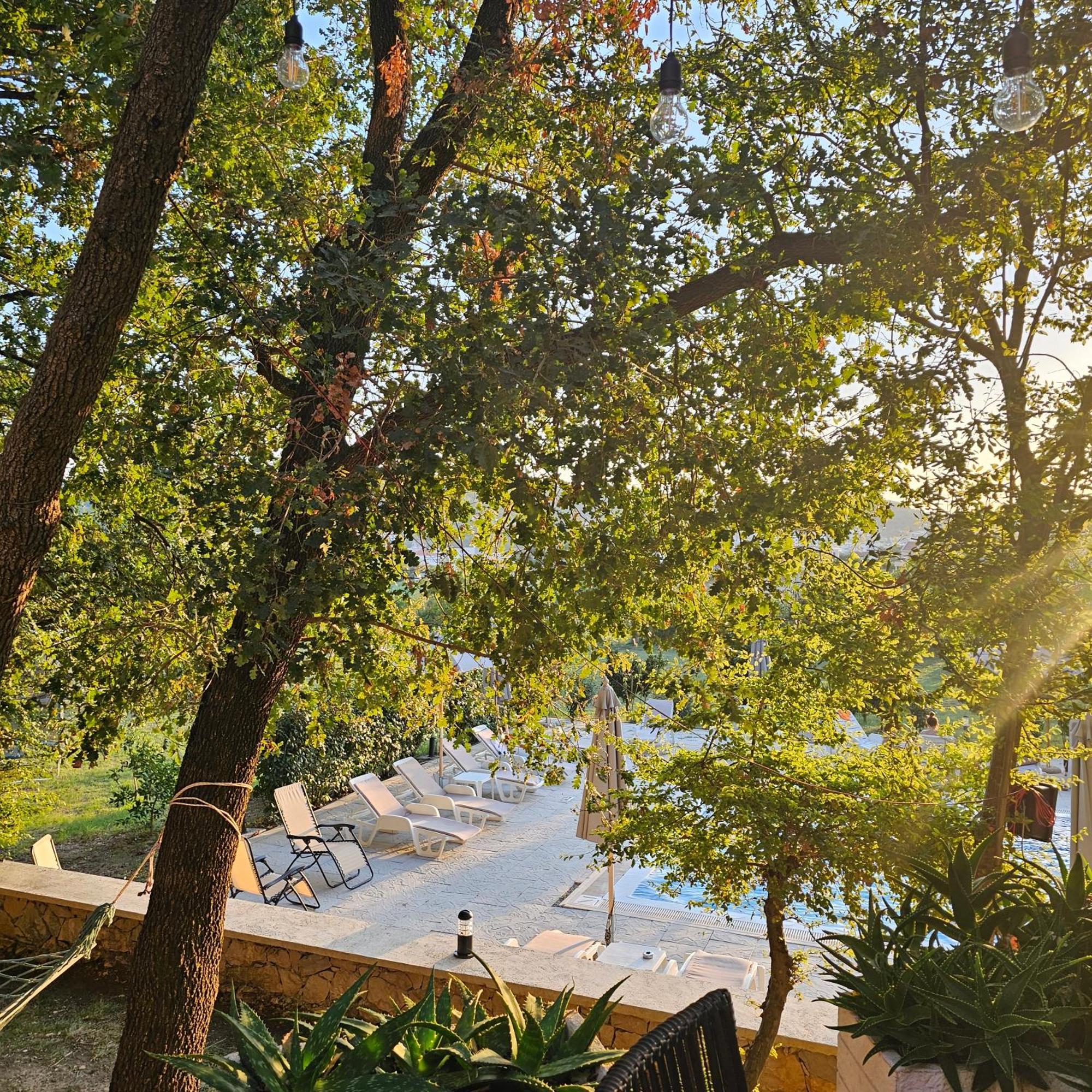 Green Hill Apartments Ulcinj Eksteriør bilde